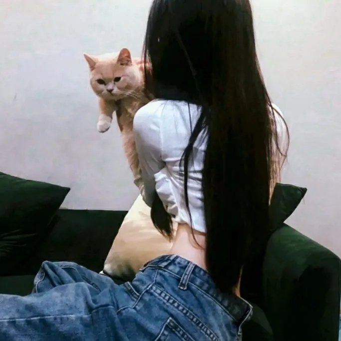邯郸起义 在线观看